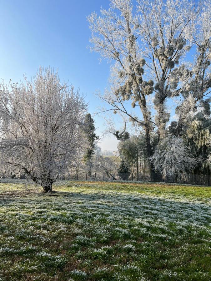 Relais D'Arbigny Bed & Breakfast Exterior photo